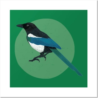 Magpie Posters and Art